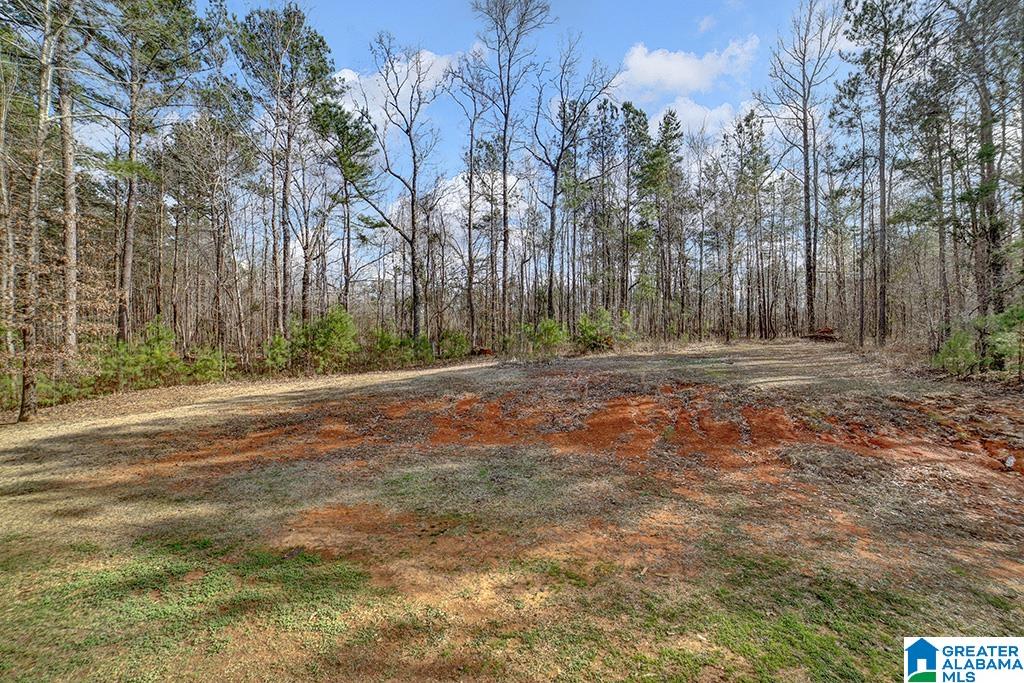 20001 Rabbit Ridge McCalla, AL 35111 - Photo 25 of 29