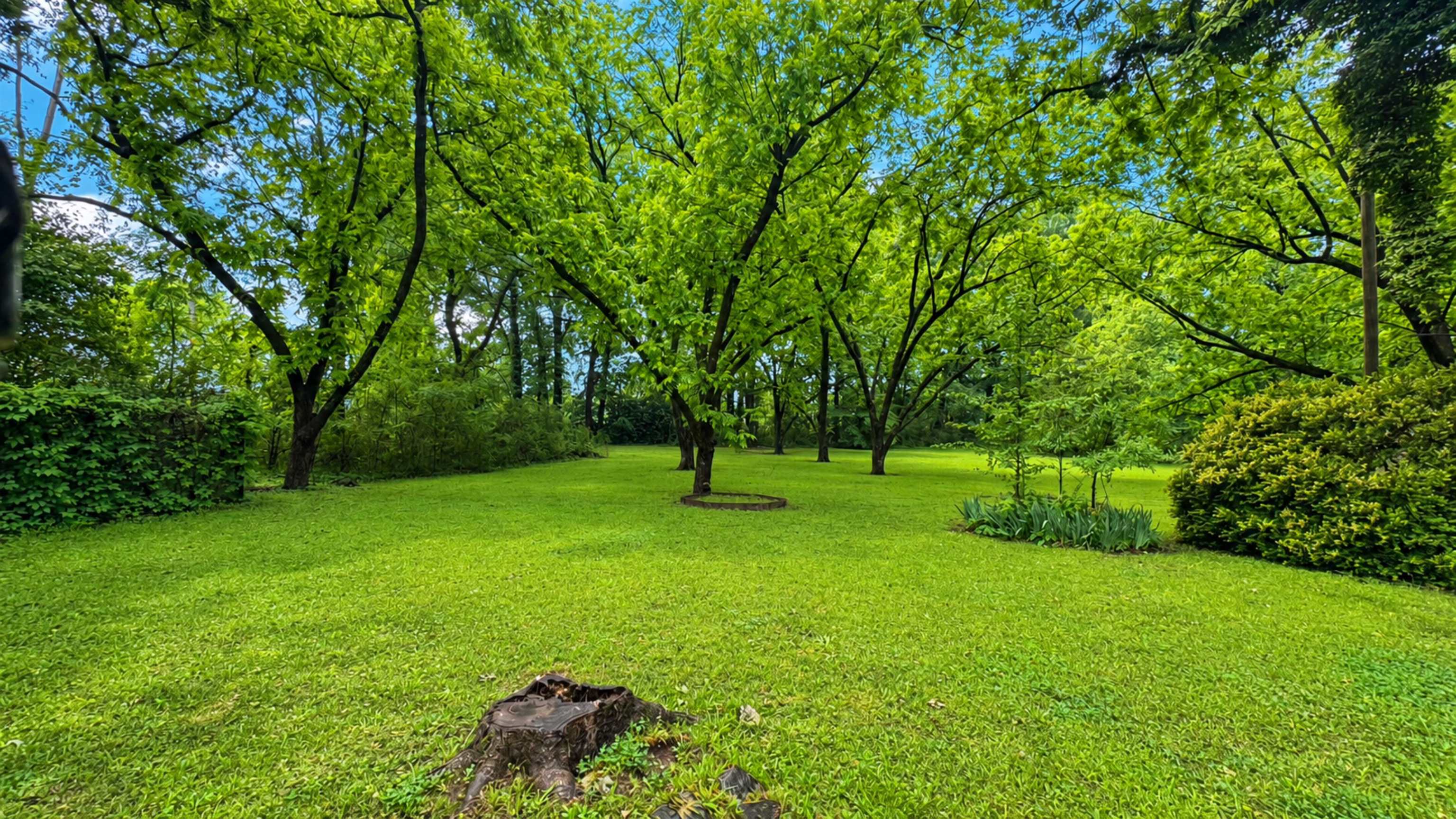 6505 Patmore Road Memphis, TN 38134 - Photo 24 of 25 Gallery Image 24