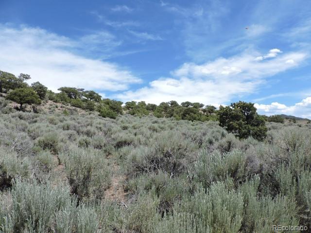 929 Aual Road Fort Garland, CO 81133 - Photo 4 of 20 Gallery Image 4