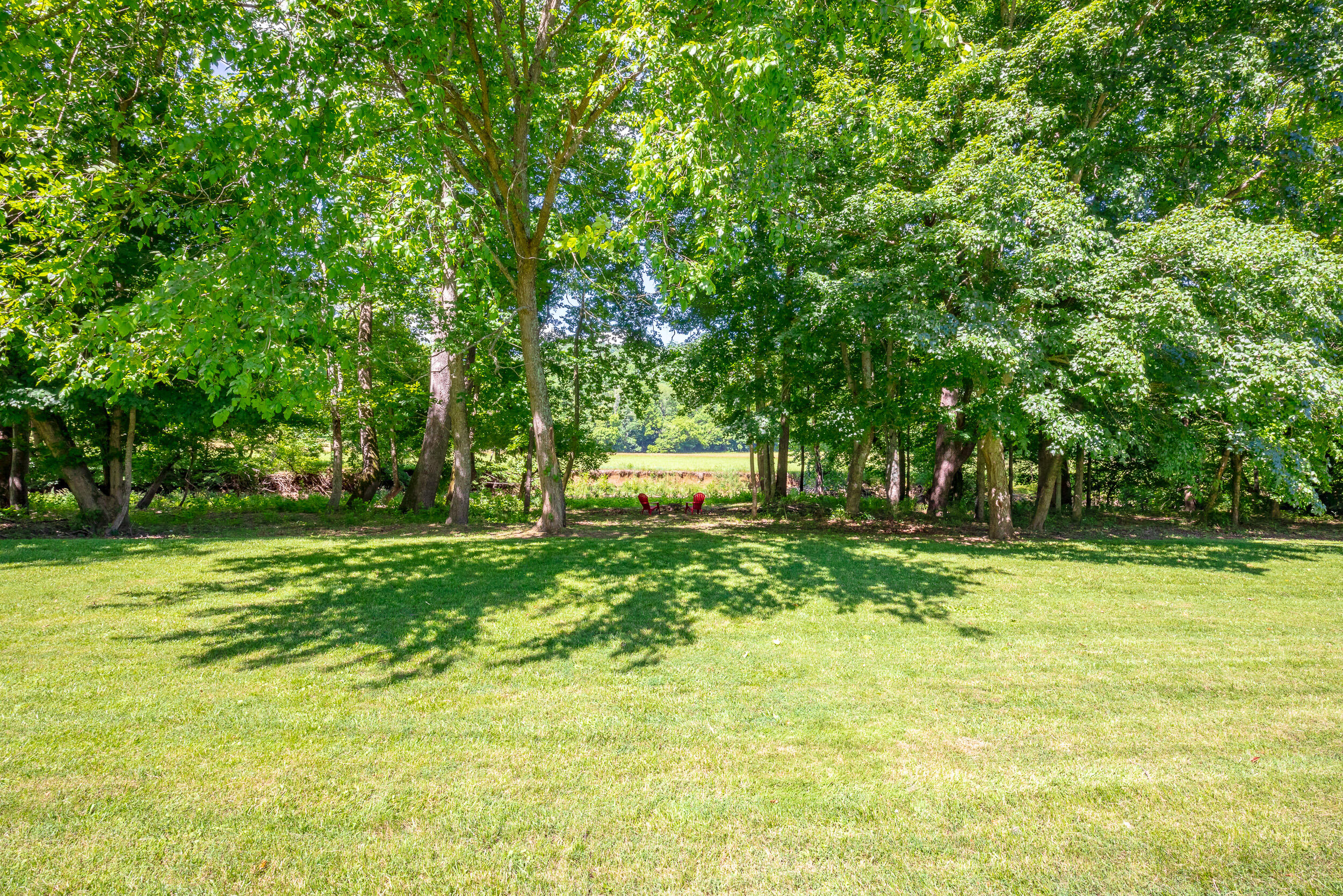 1561 Alleghany Spring Road Shawsville, VA 24162 - Photo 65 of 87 Shawsville VA-65
