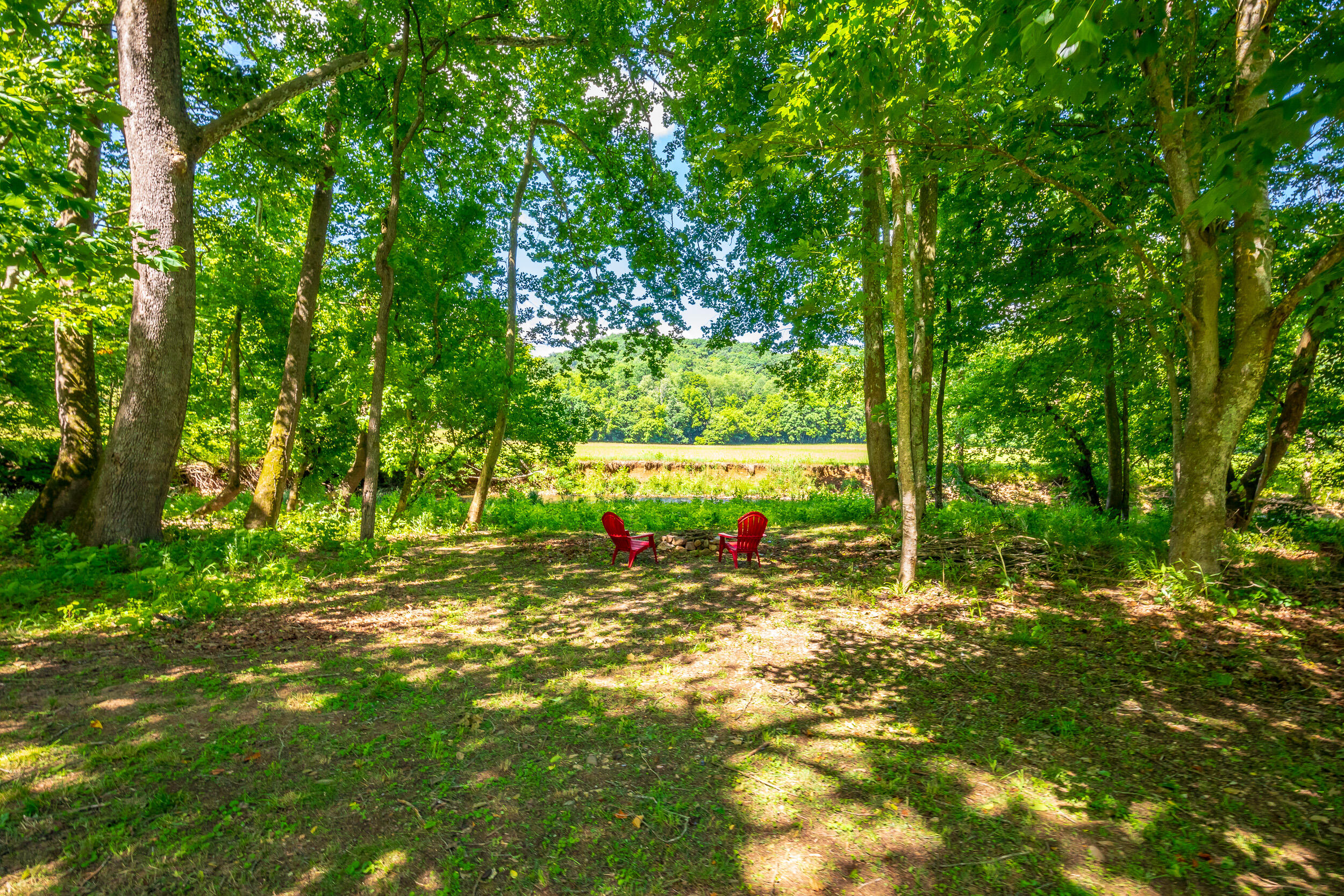 1561 Alleghany Spring Road Shawsville, VA 24162 - Photo 68 of 87 Shawsville VA-68