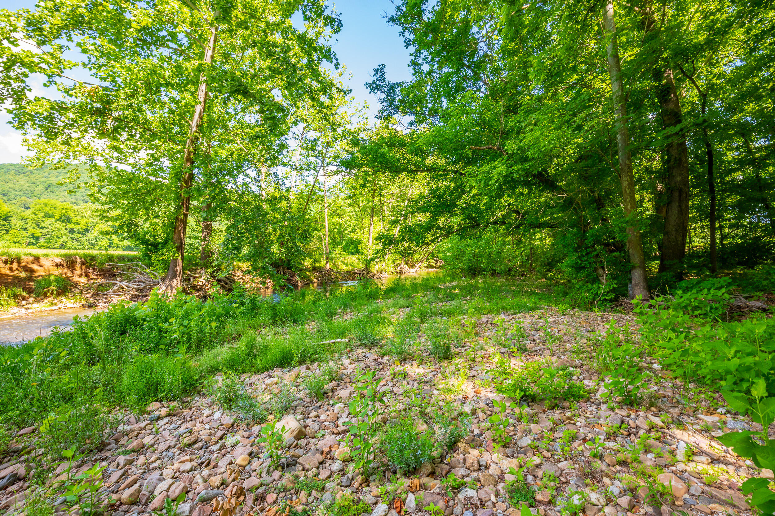 1561 Alleghany Spring Road Shawsville, VA 24162 - Photo 71 of 87 Shawsville VA-71