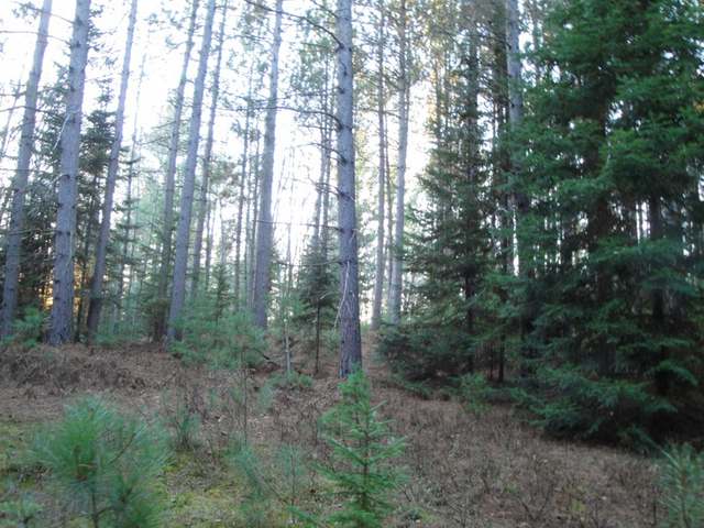 29-acres Spafford Road Rhinelander, WI 54501 - Photo 11 of 13 Gallery Image 11