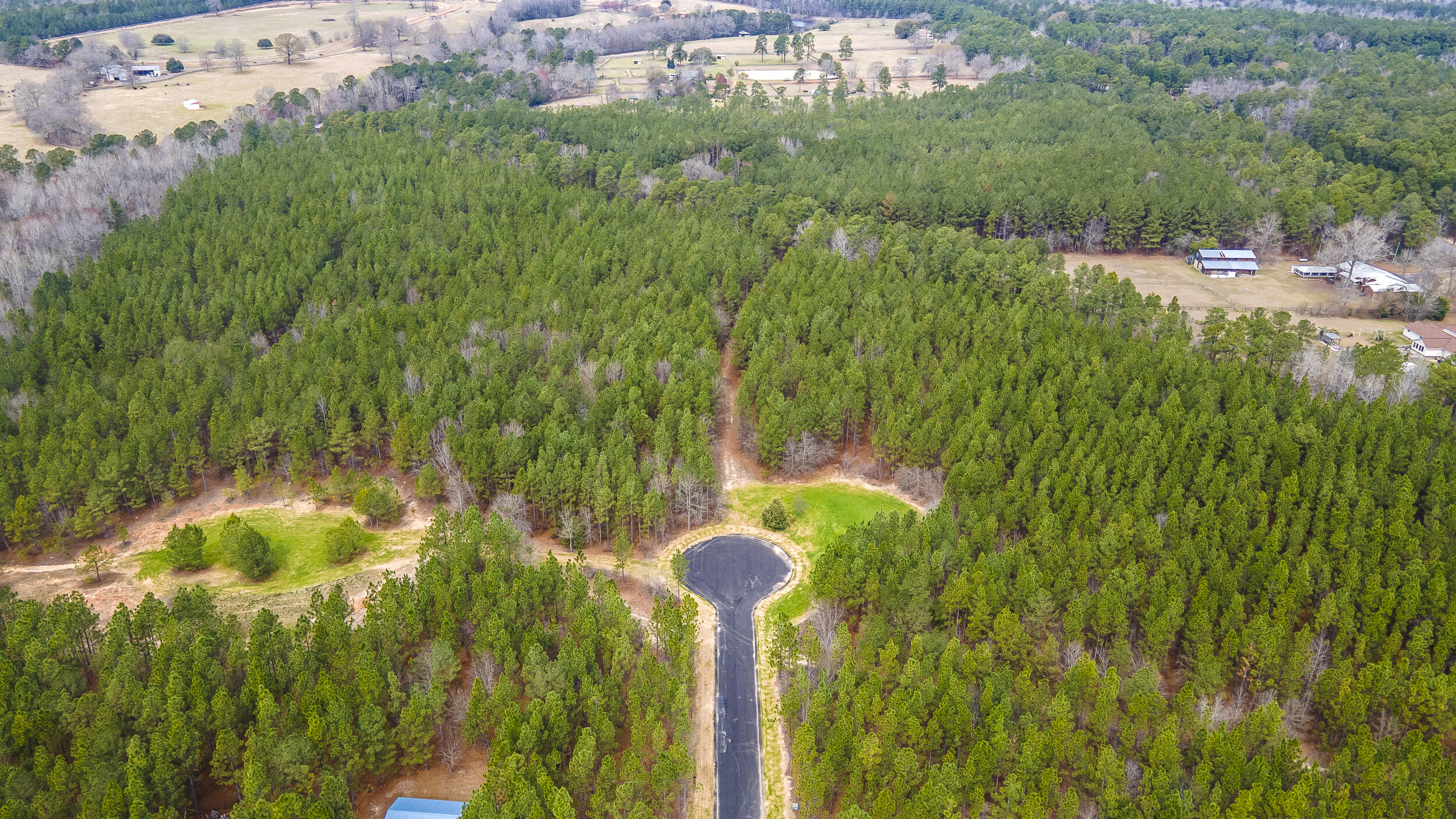 Lot 4-1 Simonside Court Aiken, SC 29803 - Photo 2 of 31