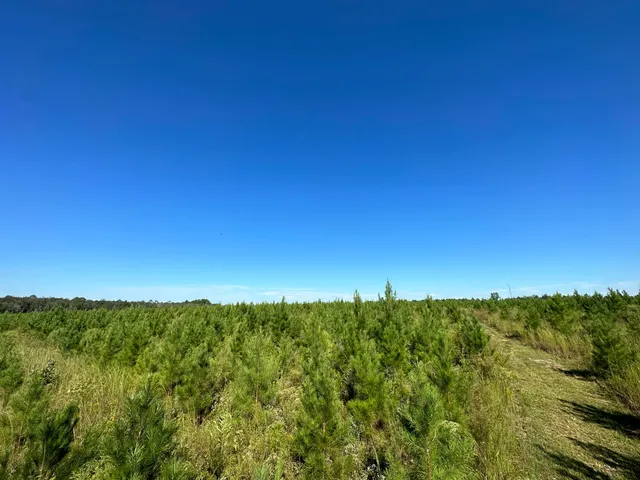 a view of a large building