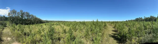 $125,900 | Parcel L Buck Tyner Road, Laurel Hill, FL 32567