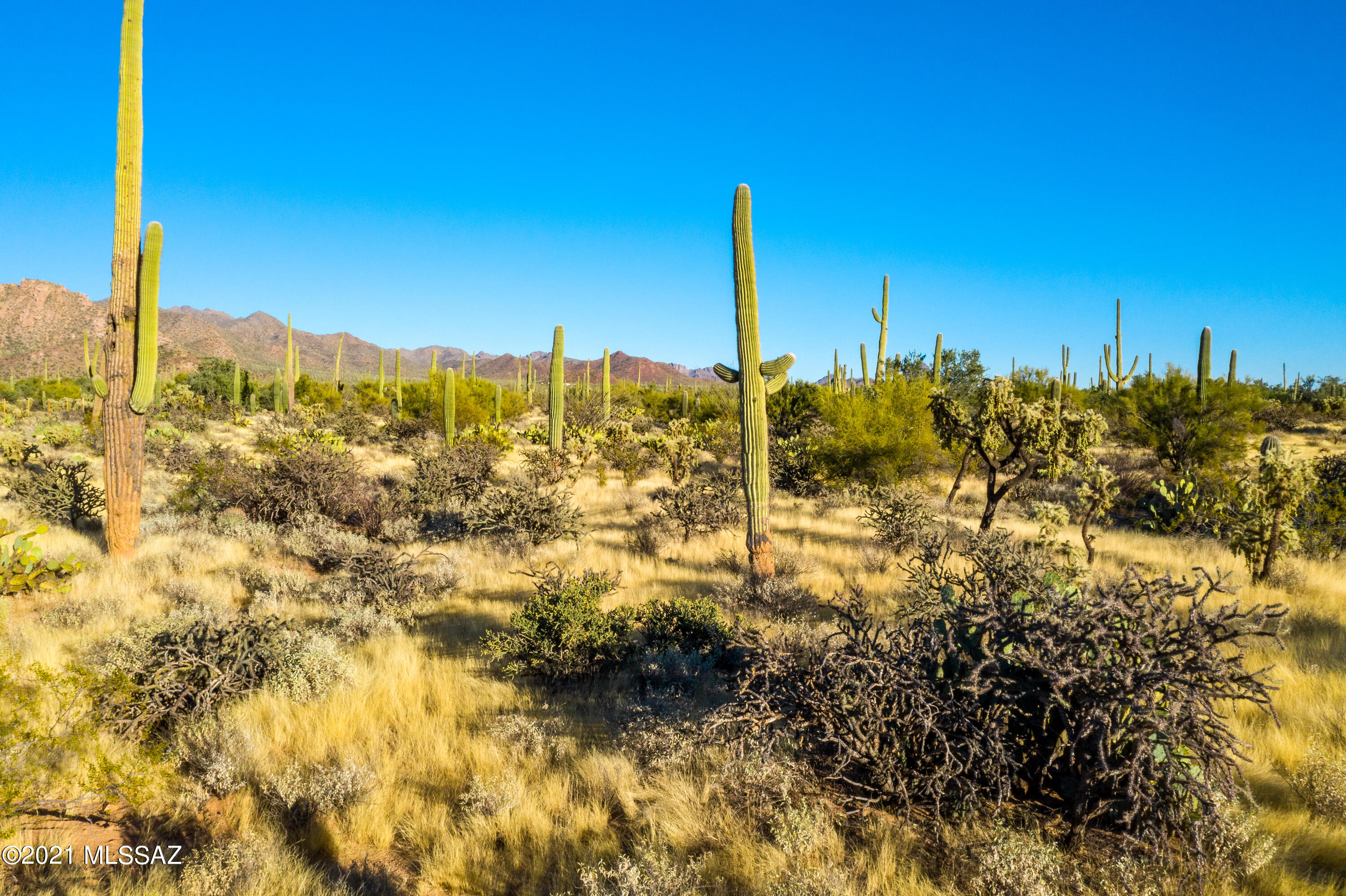 0 North Sandario Road, Unit 3 Tucson, AZ 85743 - Photo 16 of 24