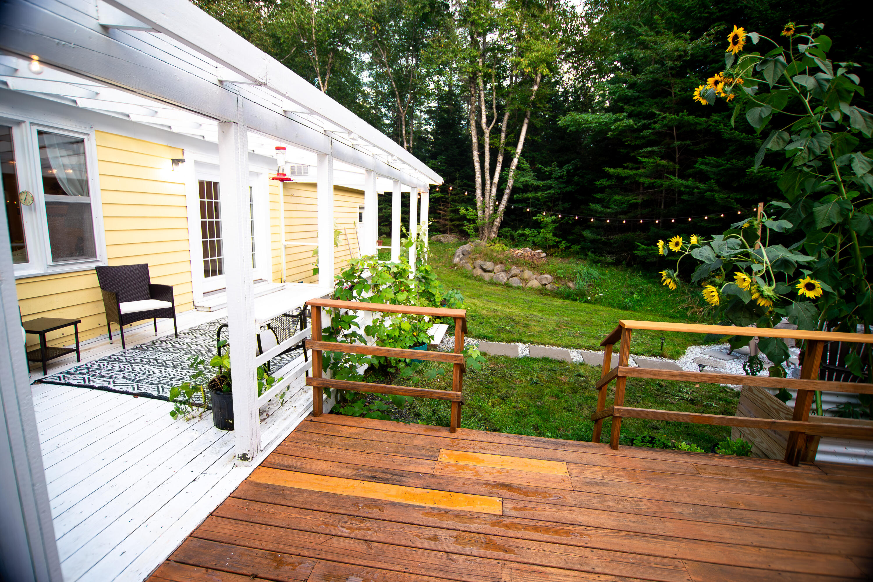 259 Flye Point Road Brooklin, ME 04616 - Photo 15 of 65 259 Flye Point -45
