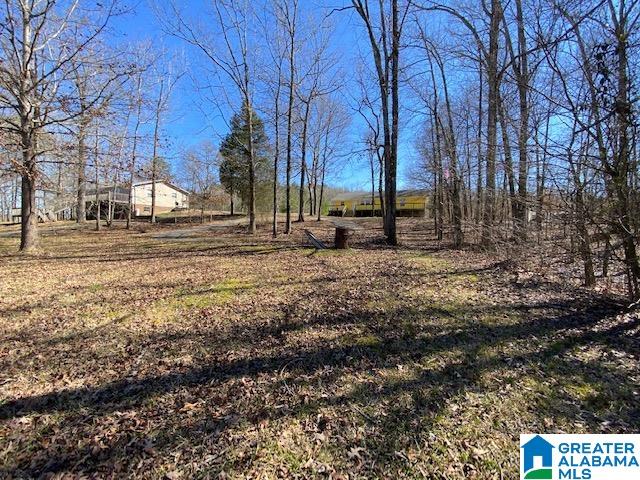 475 Crawfish Lane Ragland, AL 35131 - Photo 10 of 24