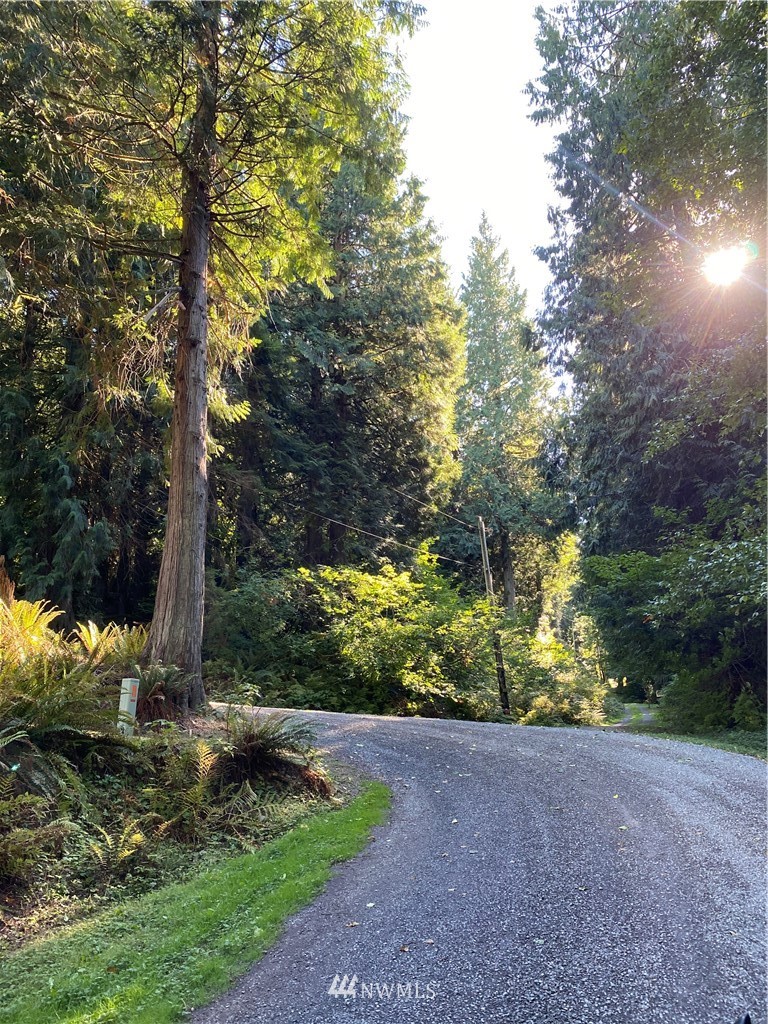 0 Old Samish Road Bellingham, WA 98229 - Photo 1 of 11 Gallery Image 1