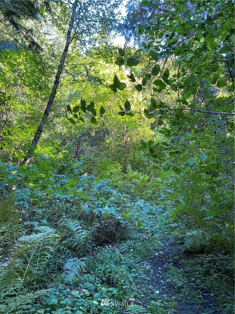0 Old Samish Road Bellingham, WA 98229 - Photo 3 of 11 Gallery Image 3