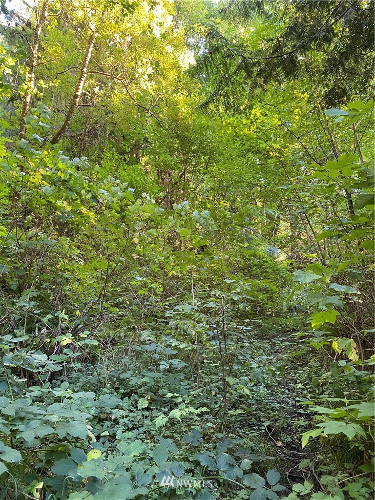 0 Old Samish Road Bellingham, WA 98229 - Photo 5 of 11 Gallery Image 5