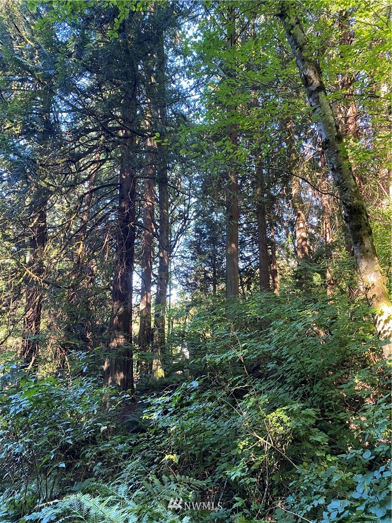 0 Old Samish Road Bellingham, WA 98229 - Photo 6 of 11 Gallery Image 6