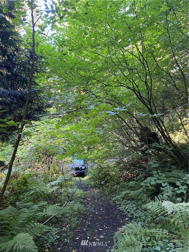 0 Old Samish Road Bellingham, WA 98229 - Photo 8 of 11 Gallery Image 8