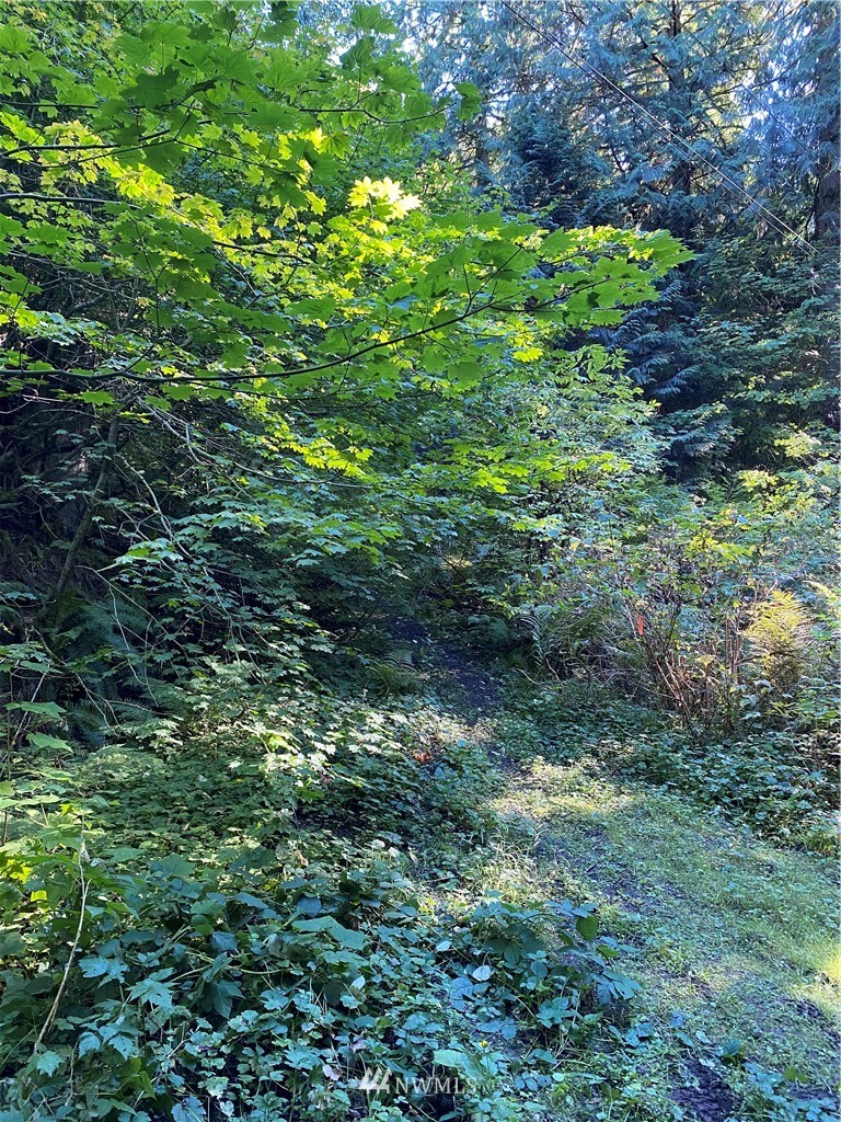 0 Old Samish Road Bellingham, WA 98229 - Photo 9 of 11 Gallery Image 9