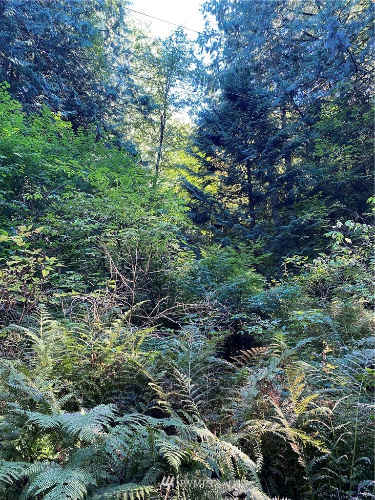 0 Old Samish Road Bellingham, WA 98229 - Photo 10 of 11 Gallery Image 10