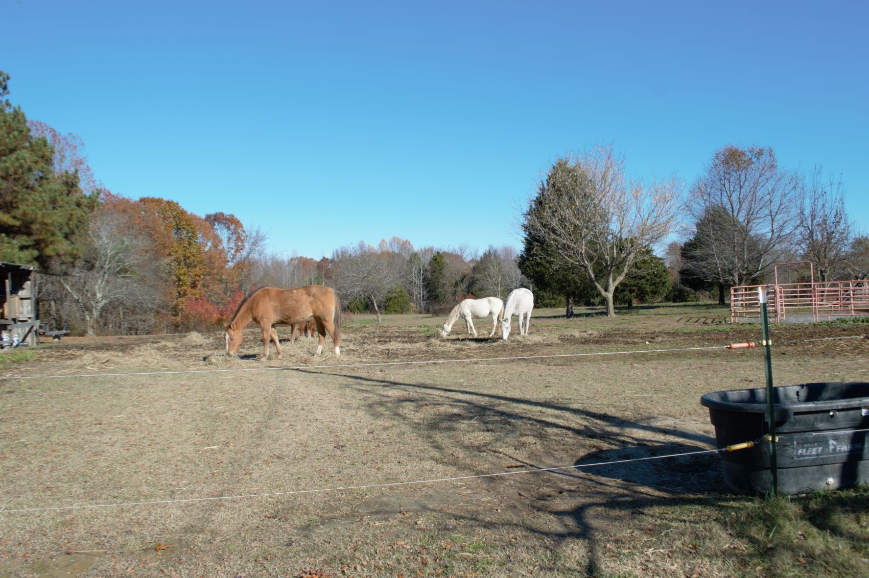 2151 Baggett Road Palmyra, TN 37142 - Photo 25 of 29 a view of a dirt road with a building in the background