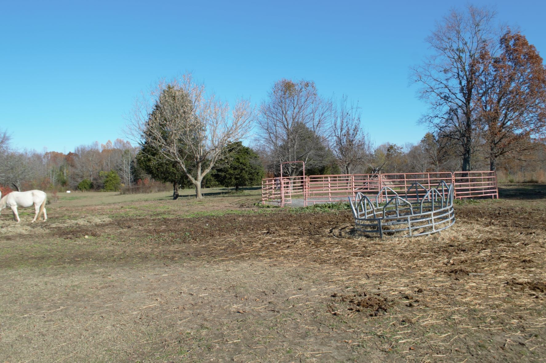 2151 Baggett Road Palmyra, TN 37142 - Photo 29 of 29 a view of a backyard