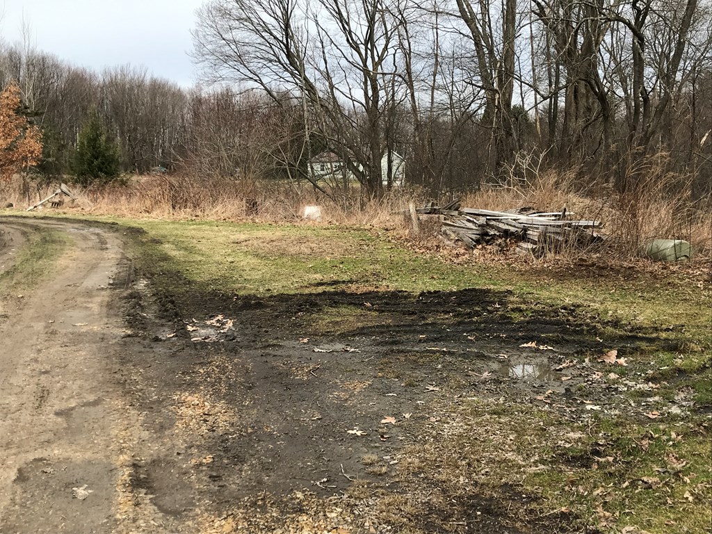 213 Stone Road Franklin, PA 16323 - Photo 7 of 28 a view of water yard with trees