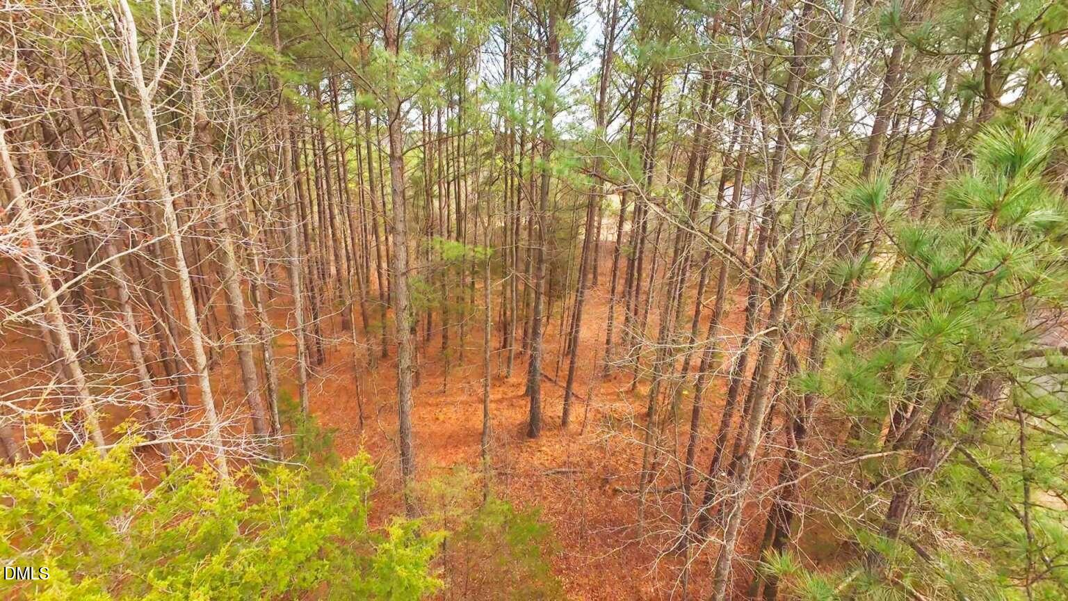 0 Mount Olivet Church Road Franklinton, NC 27525 - Photo 2 of 25 Harris.2