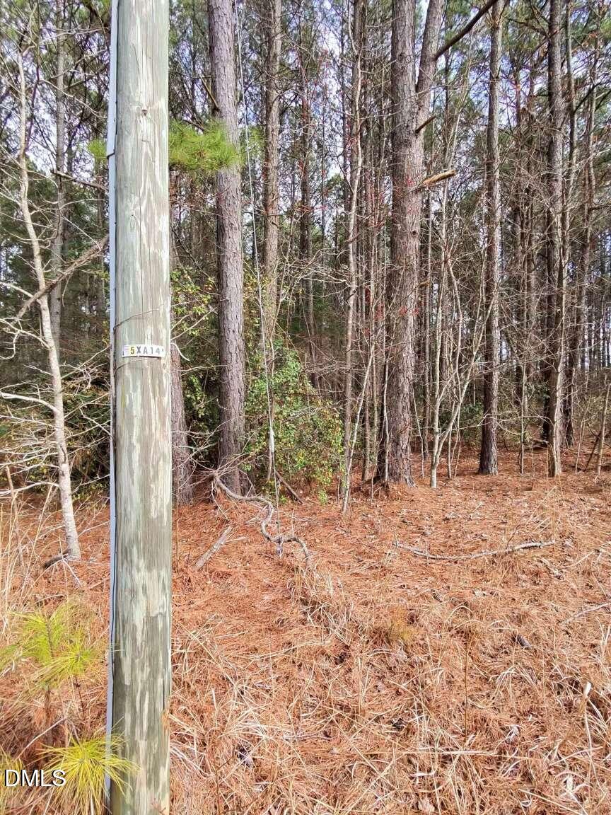 0 Mount Olivet Church Road Franklinton, NC 27525 - Photo 23 of 25 Harris.23