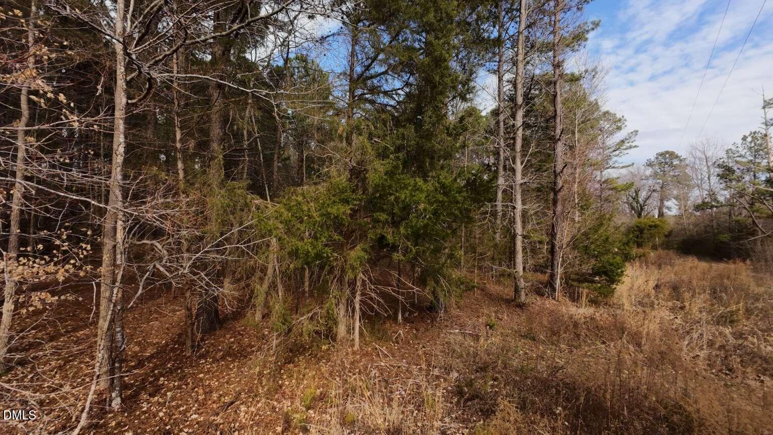 0 Mount Olivet Church Road Franklinton, NC 27525 - Photo 24 of 25 Harris.24