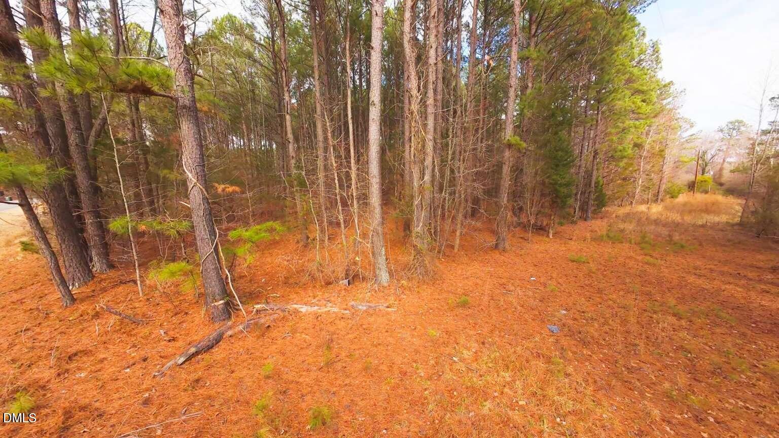 0 Mount Olivet Church Road Franklinton, NC 27525 - Photo 3 of 25 Harris.3