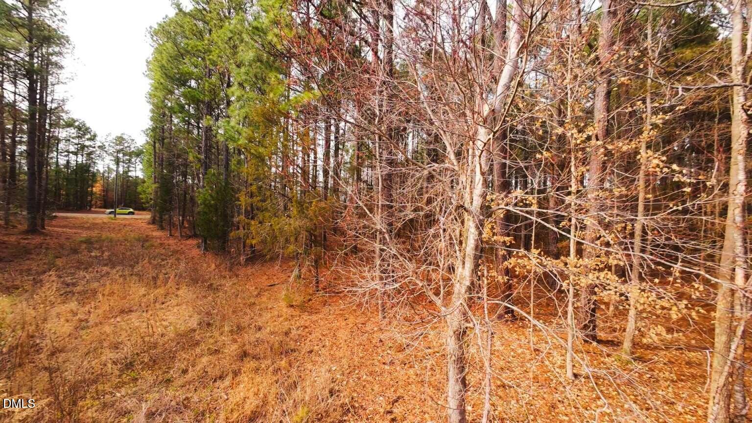 0 Mount Olivet Church Road Franklinton, NC 27525 - Photo 5 of 25 Harris.5