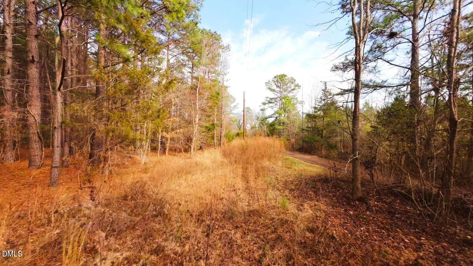 0 Mount Olivet Church Road Franklinton, NC 27525 - Photo 6 of 25 Harris.6