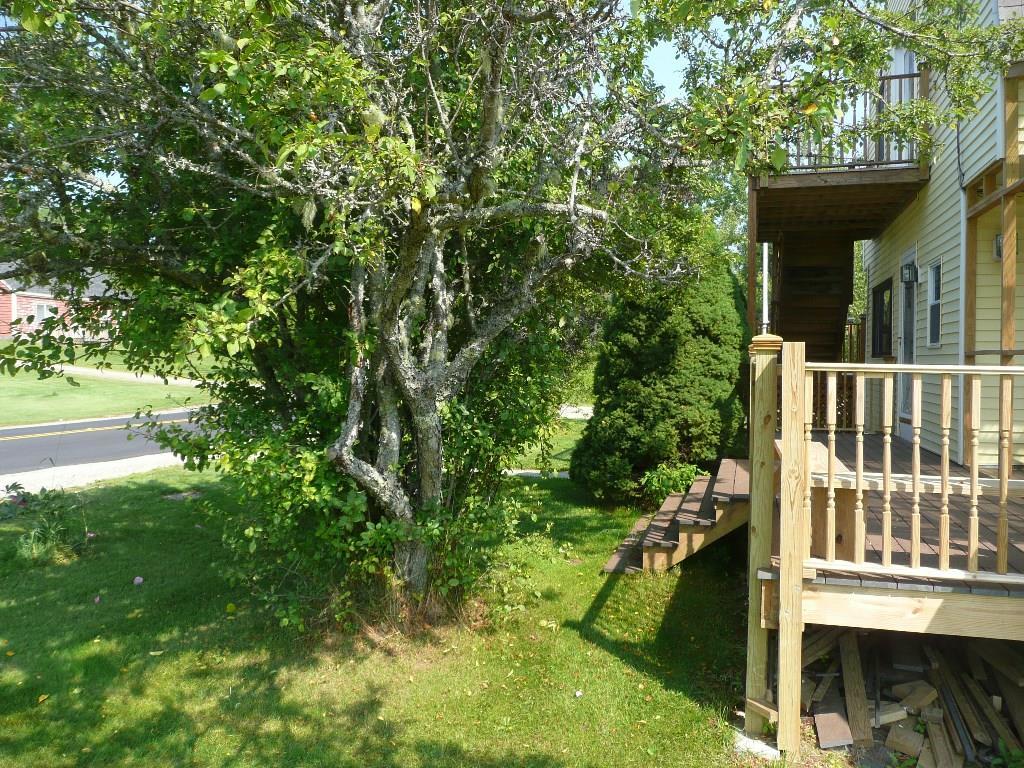 933 Tremont Road Seal Cove, ME 04674 - Photo 19 of 20 Photo