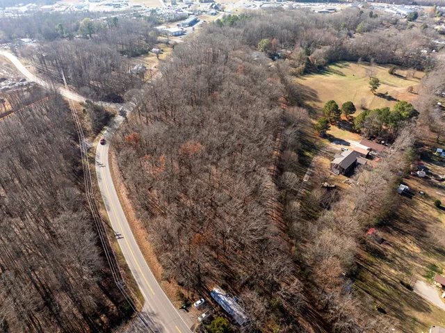 a view of a yard with trees