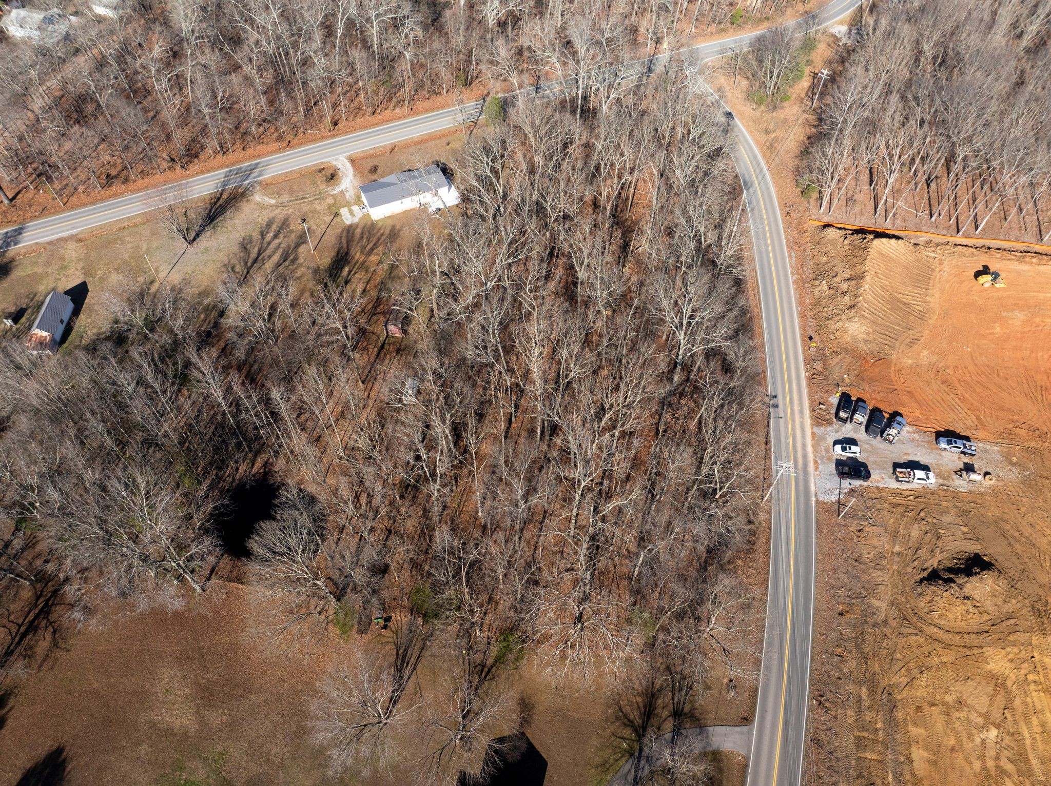 0 Pomona Road Dickson, TN 37055 - Photo 17 of 23 a view of a forest with a tree