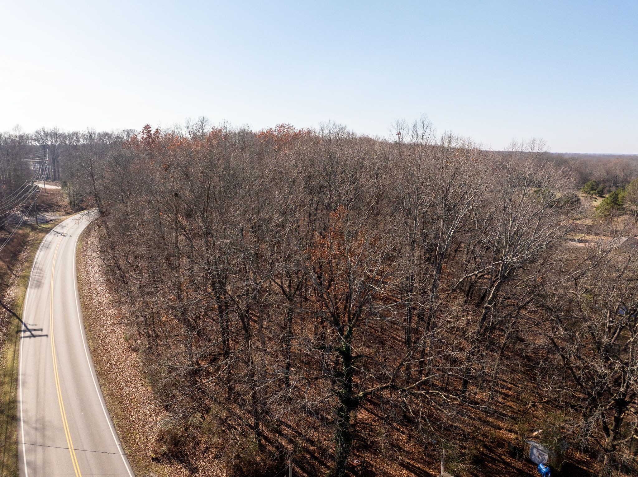 0 Pomona Road Dickson, TN 37055 - Photo 3 of 23 a view of a dry yard with trees