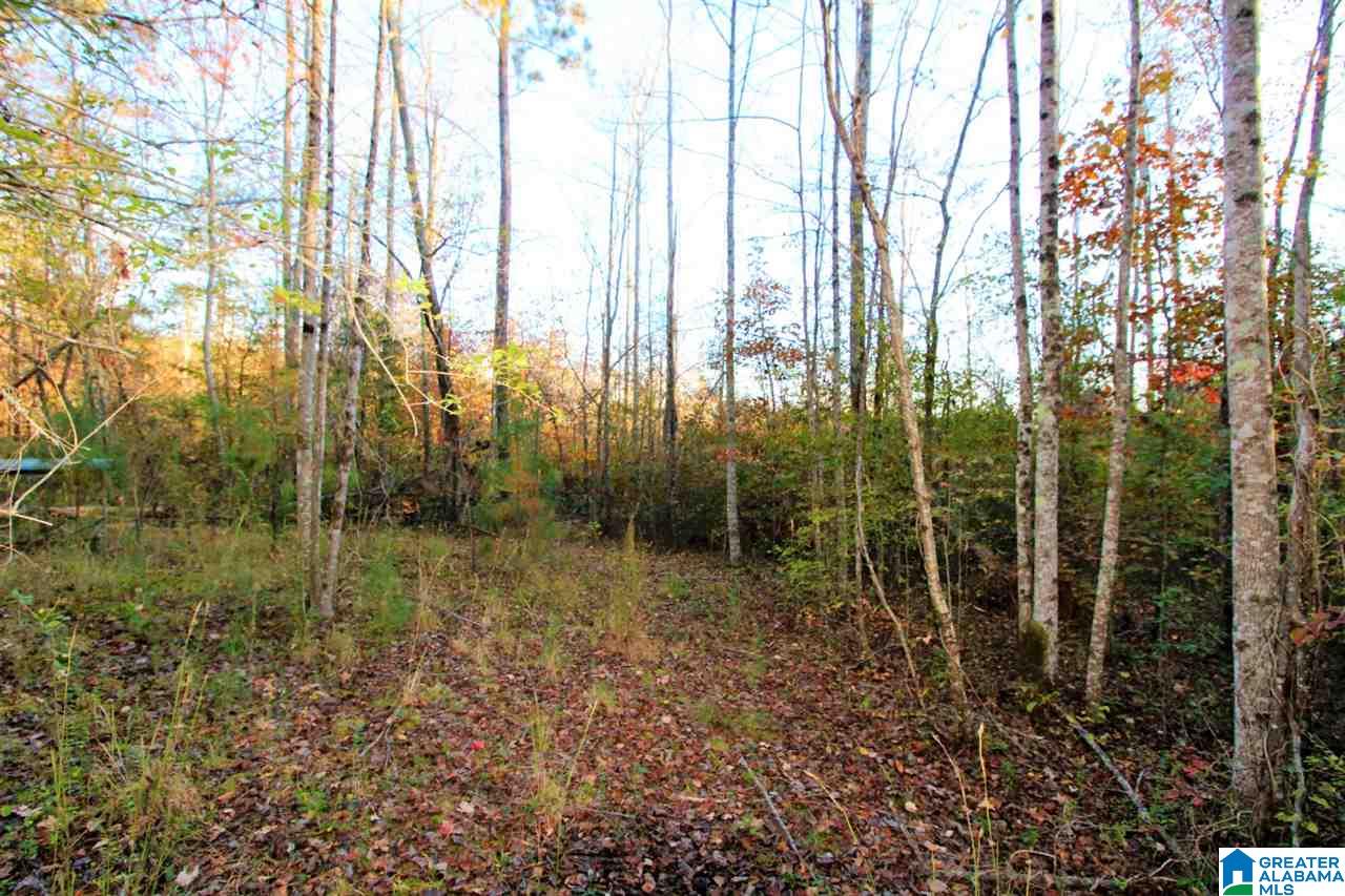 584 Greensport Road Ohatchee, AL 36271 - Photo 3 of 9