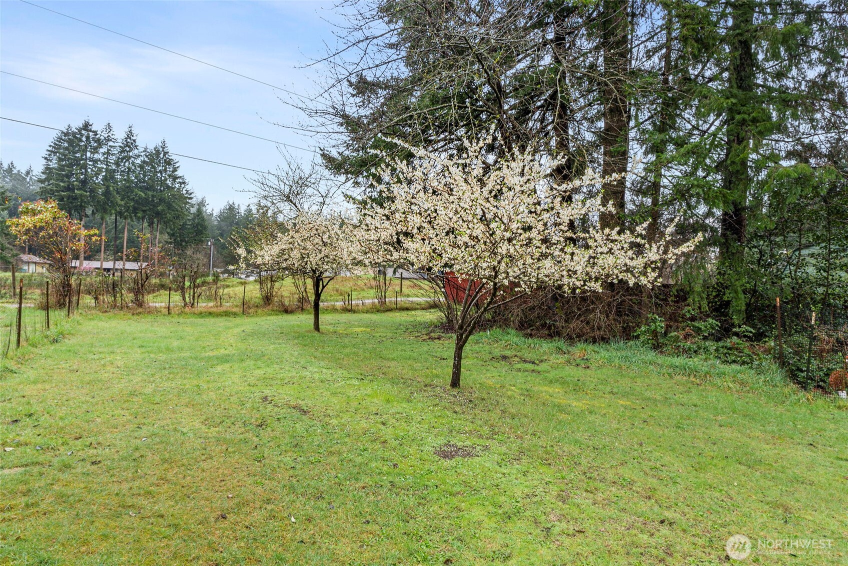 9918 168th Avenue Southwest Rochester, WA 98579 - Photo 36 of 39
