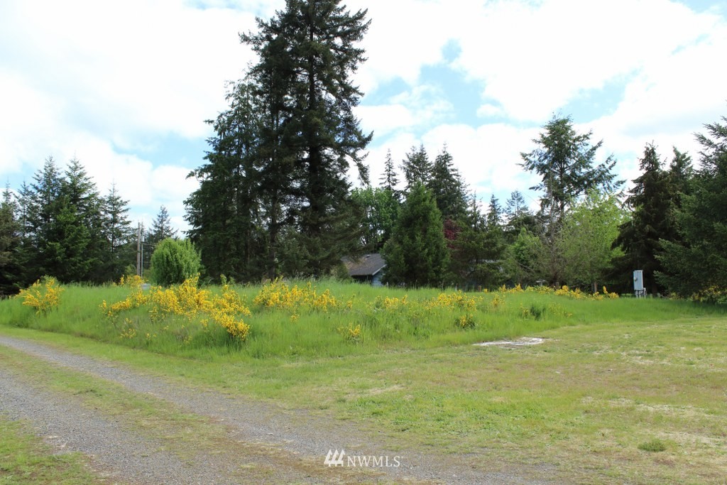 9141 178th Avenue Southwest Rochester, WA 98579 - Photo 24 of 25