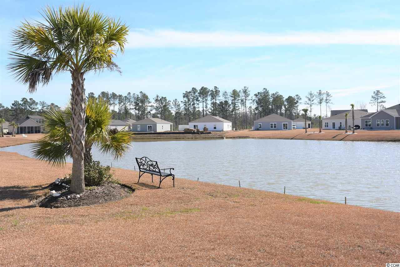 408 Carrick Loop Longs, SC 29568 - Photo 30 of 32 Gallery Image 30