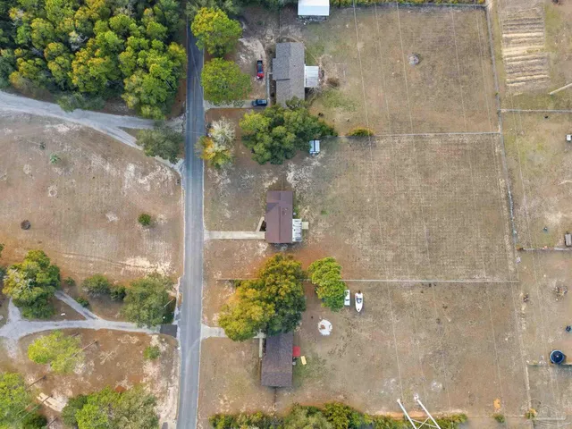 a potted plant sitting in front of a door