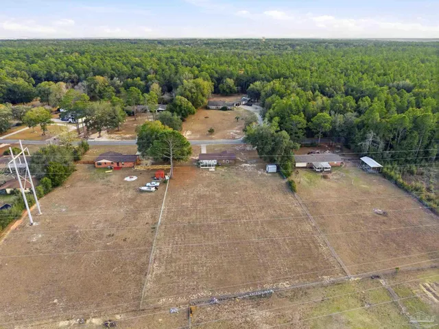 a view of a garden with a lot of trees