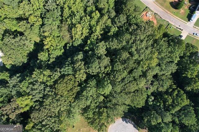 9142 Ford Street Southwest Covington, GA 30014 - Photo 3 of 12 view of a lush green forest