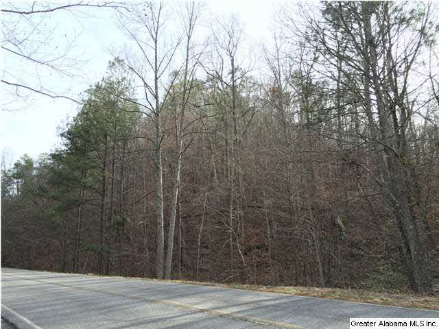 734 Valley Grove Road, Unit 15 4 ACR Remlap, AL 35133 - Photo 30 of 32