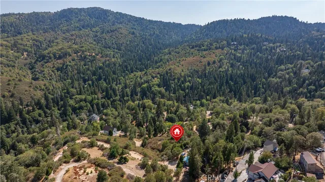 $20,000 | 1556 Craghill Drive, Cedar Glen, CA 92321