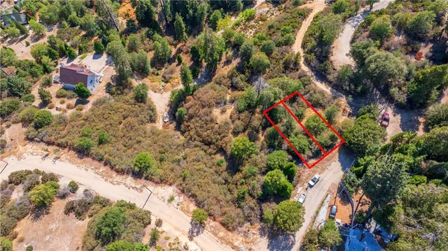 a view of flowers and flowers