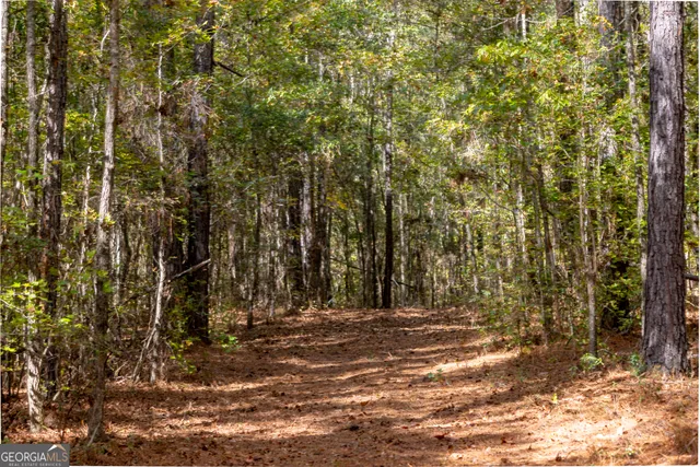 a view of outdoor space with deck