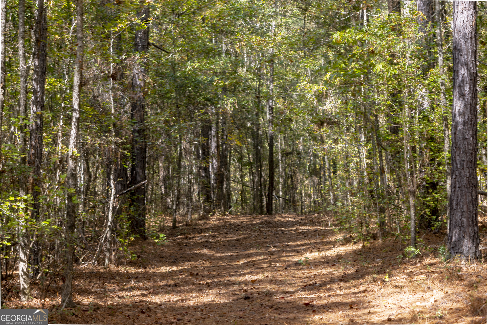 2690 East Lawson Merritt Road Fort Valley, GA 31030 - Photo 16 of 23 a view of outdoor space with trees