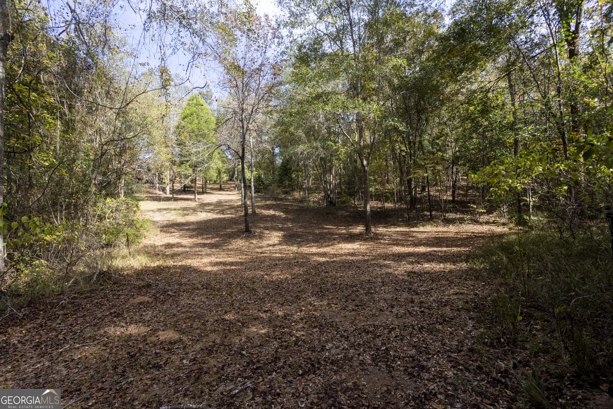 2690 East Lawson Merritt Road Fort Valley, GA 31030 - Photo 20 of 23 a view of a yard with plants and trees