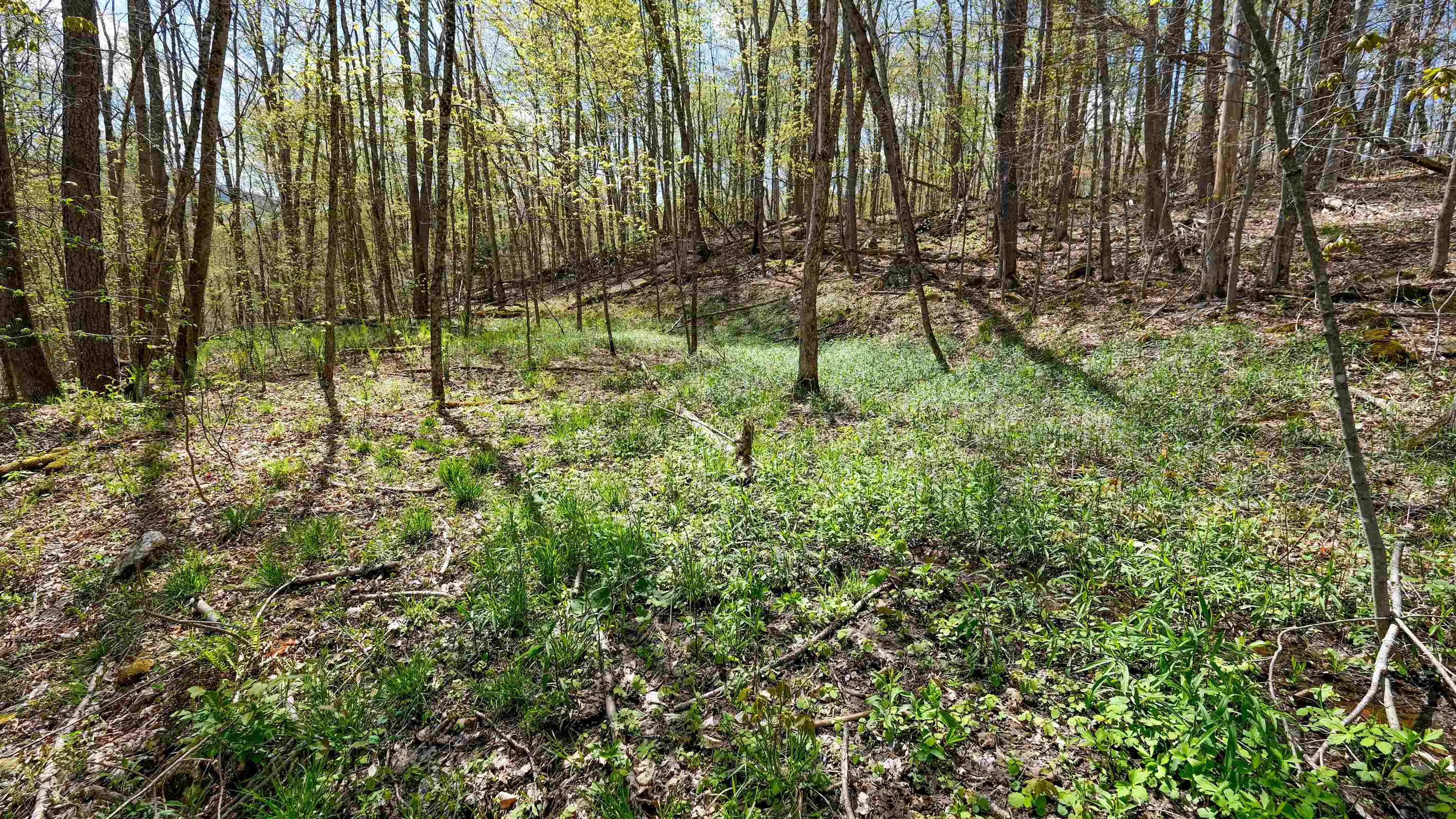269 Hawkins Road Wallingford, VT 05742 - Photo 1 of 22