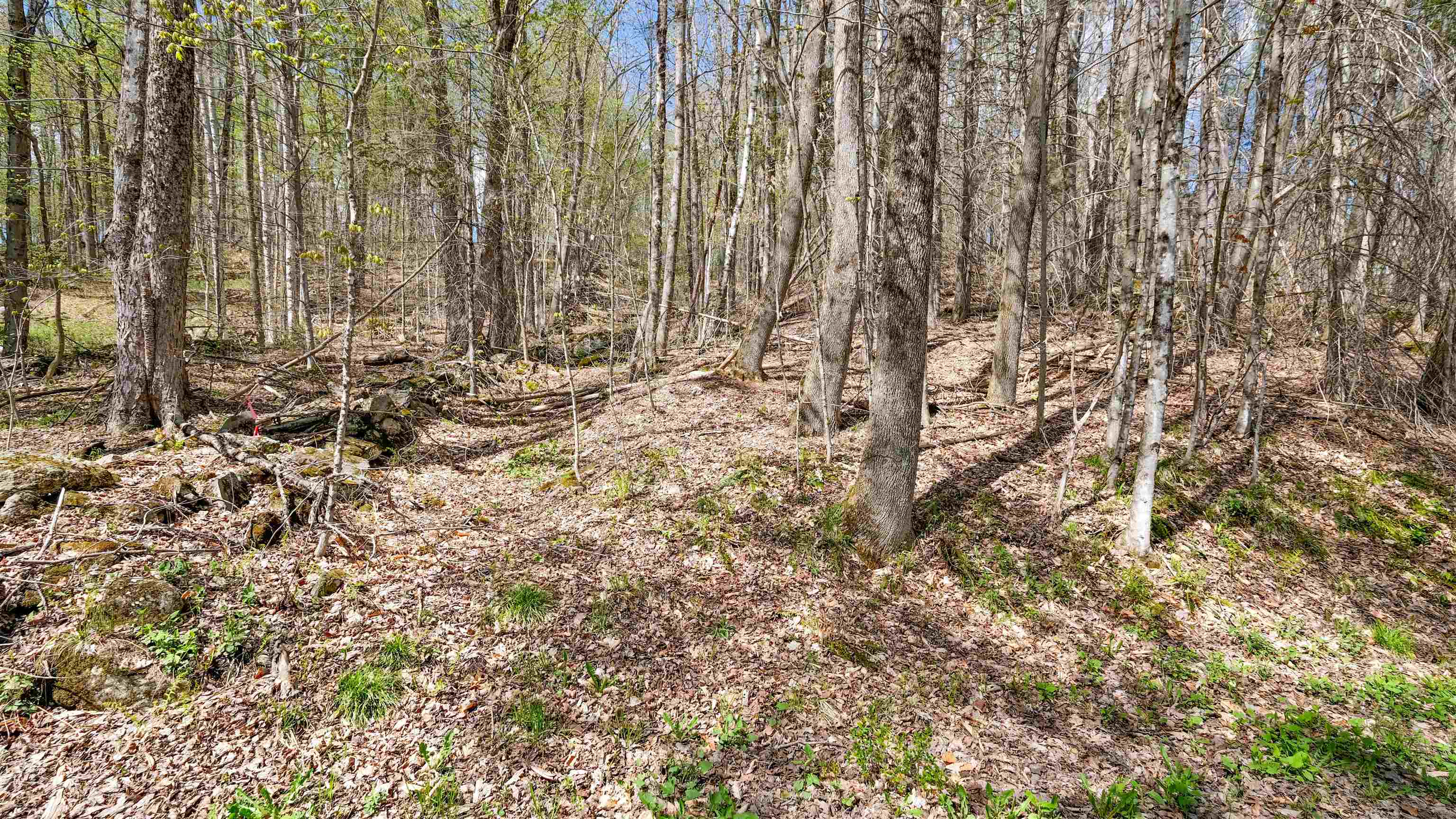 269 Hawkins Road Wallingford, VT 05742 - Photo 18 of 22