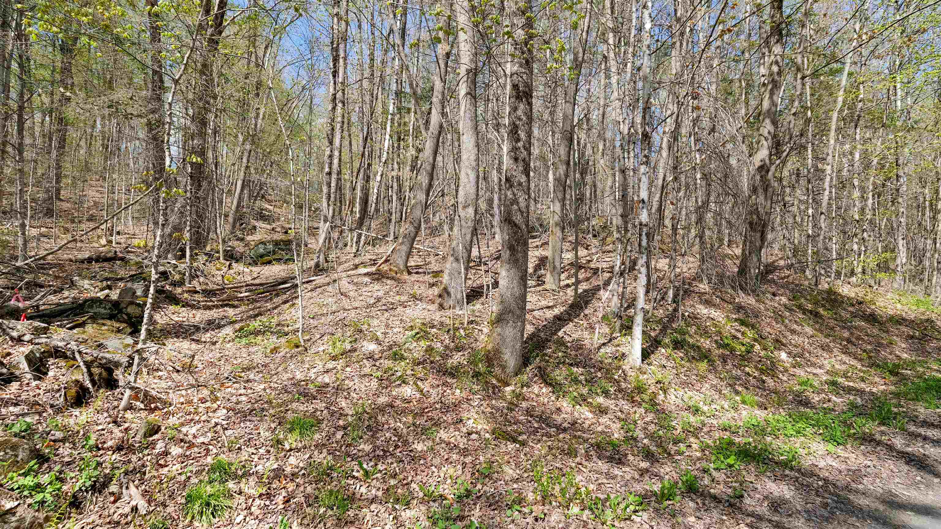 269 Hawkins Road Wallingford, VT 05742 - Photo 2 of 22