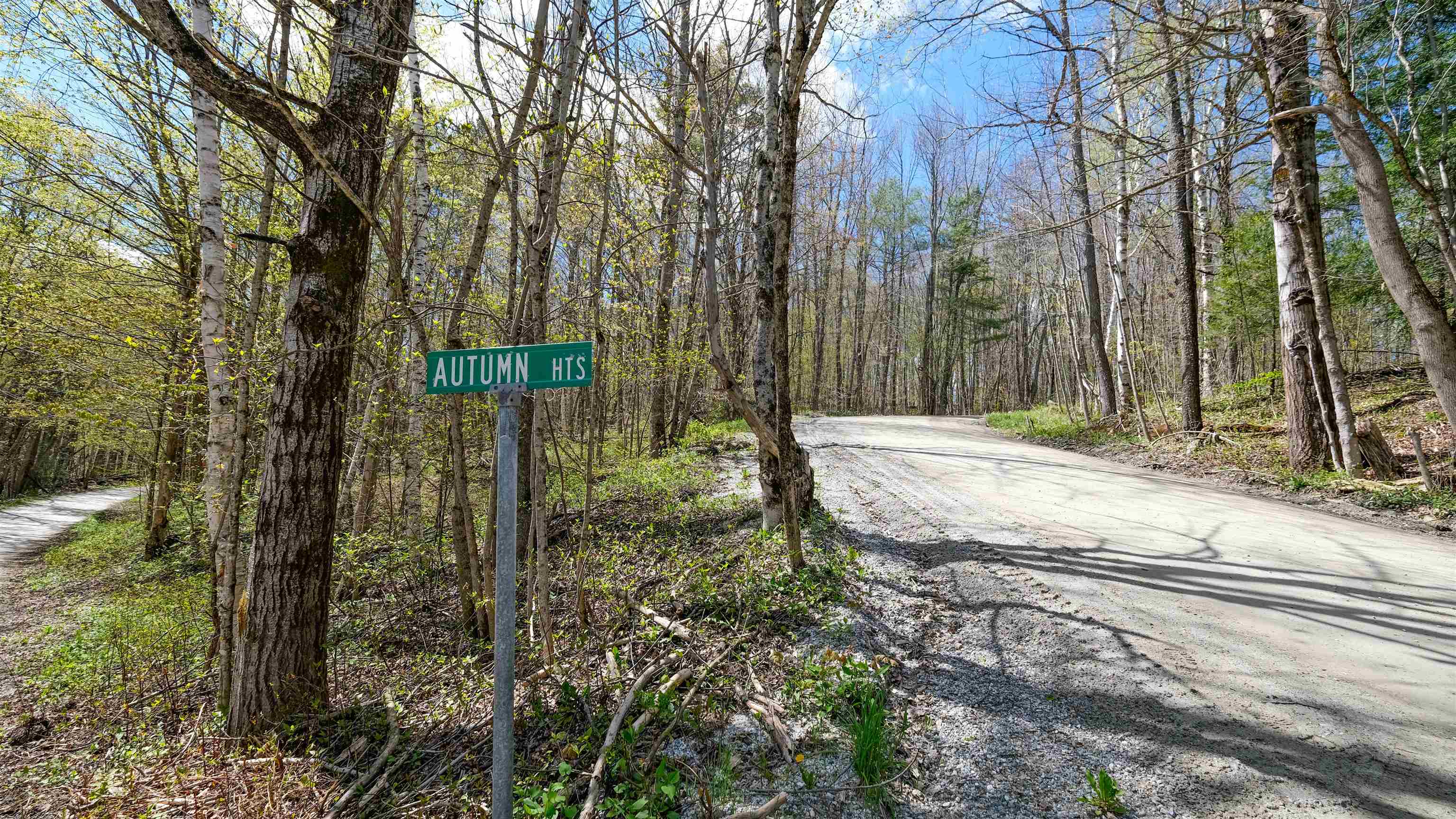 269 Hawkins Road Wallingford, VT 05742 - Photo 4 of 22